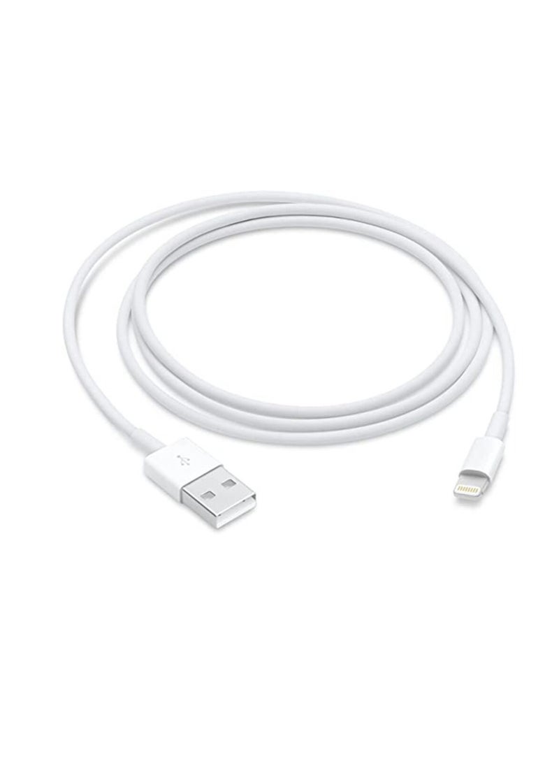 Generic Apple Lightning to USB Cable (1m)