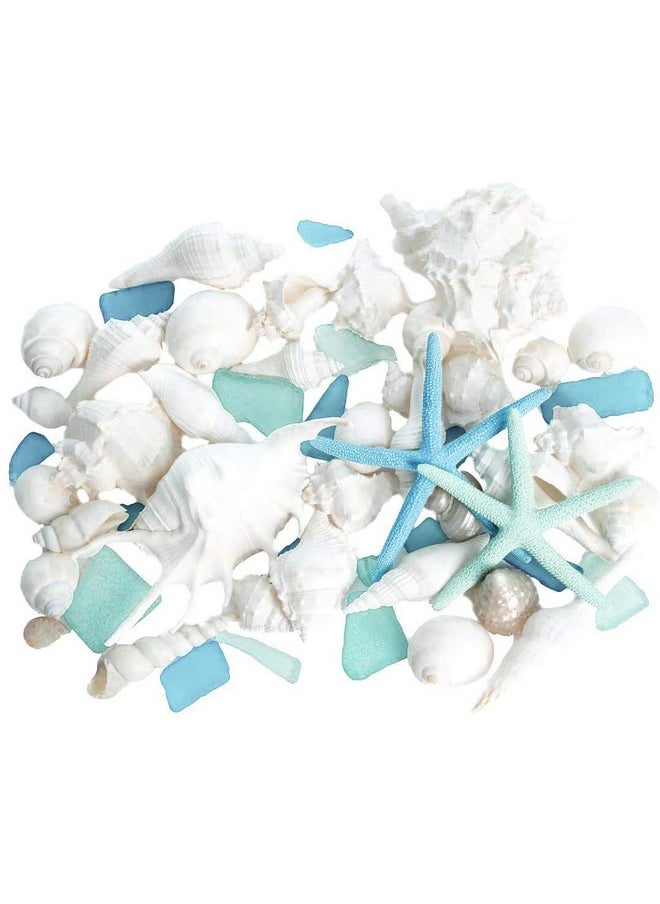 Sea Shells - Real Mixed Beach Seashells With Starfish & Sea Glass (1 Pound) - Shells For Crafts - Ocean Decor - Beach Party Decorations - Seashell Decor - Large Shells Crafts