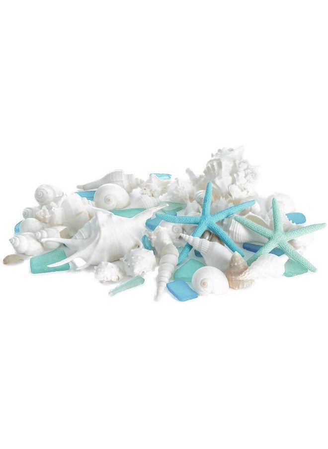 Sea Shells - Real Mixed Beach Seashells With Starfish & Sea Glass (1 Pound) - Shells For Crafts - Ocean Decor - Beach Party Decorations - Seashell Decor - Large Shells Crafts