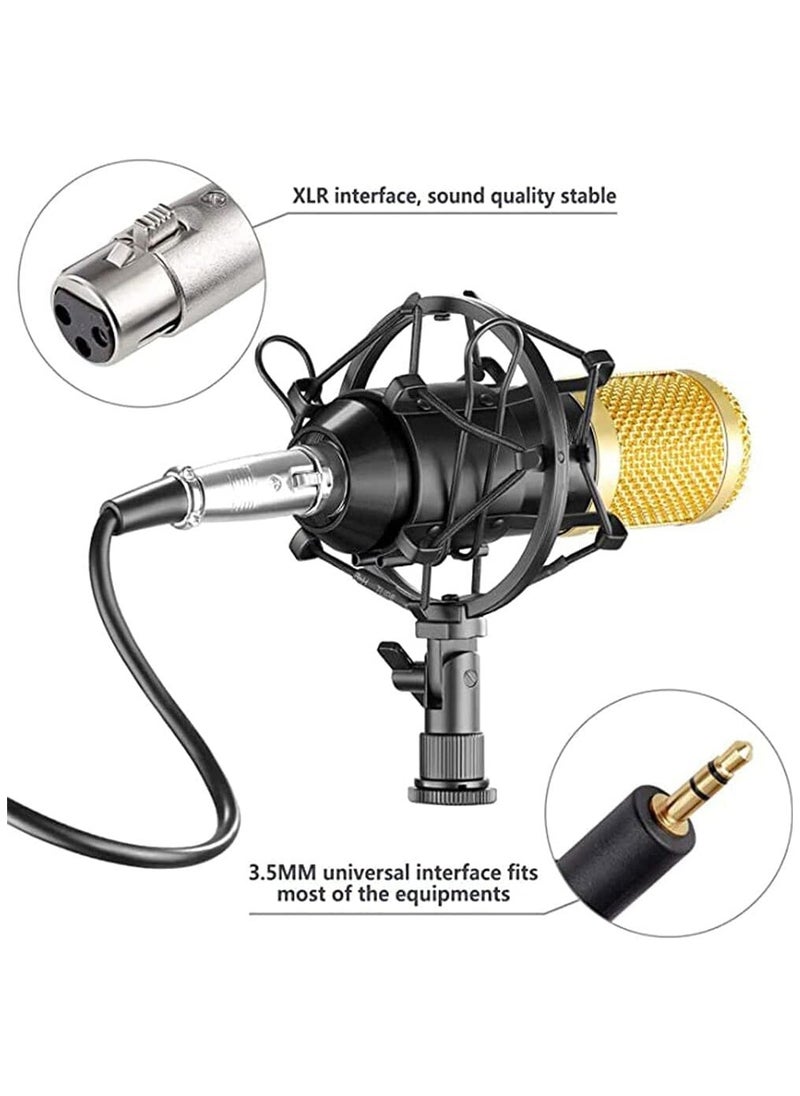 Professional BM800 Condenser Microphone Kit for PC Microphone Studio For Computer Karaoke Sound Card Recording Microphone, Auxiliary