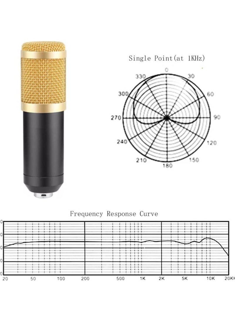 Professional BM800 Condenser Microphone Kit for PC Microphone Studio For Computer Karaoke Sound Card Recording Microphone, Auxiliary