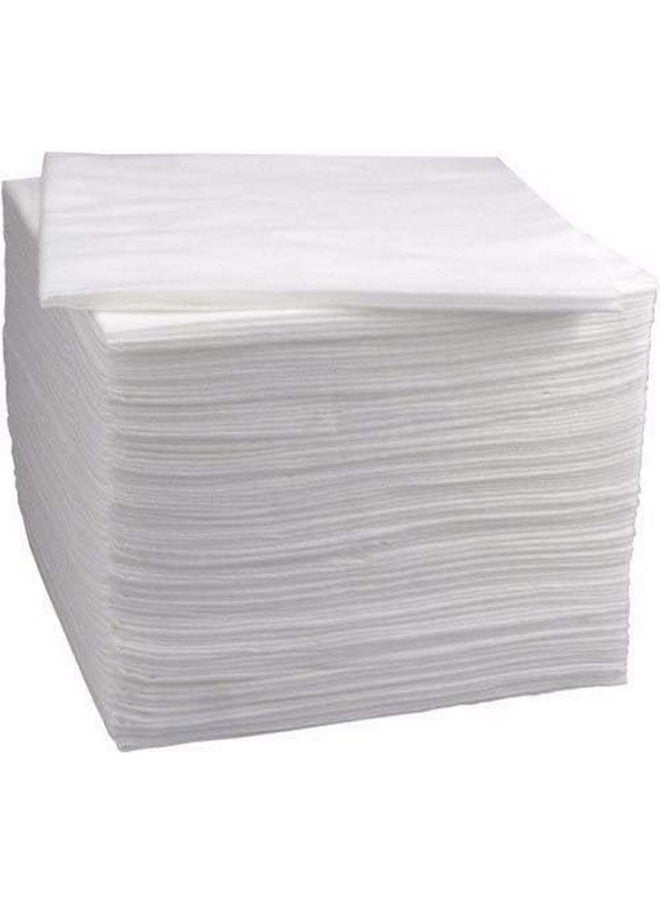 Soft Disposable Non-Woven Cloth/Fabric Facial Tissue | Dry Wipe Cleaning Beauty Towel Salon Use Makeup Removal | Durable Multi-Purpose Tissue Napkin Dry Hanky (10 * 10 Inch 200Pcs)