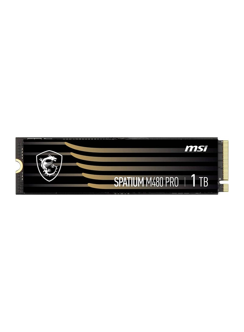 Spatium M480 Pro PCIe Gen4x4 M.2 2280 Internal SSD, 1TB Capacity, Up To 7400MB/s Sequential Read & 6000MB/s Sequential Write Speed, 700 TBW, 3D NAND | S78-440L1G0-P83 1 TB