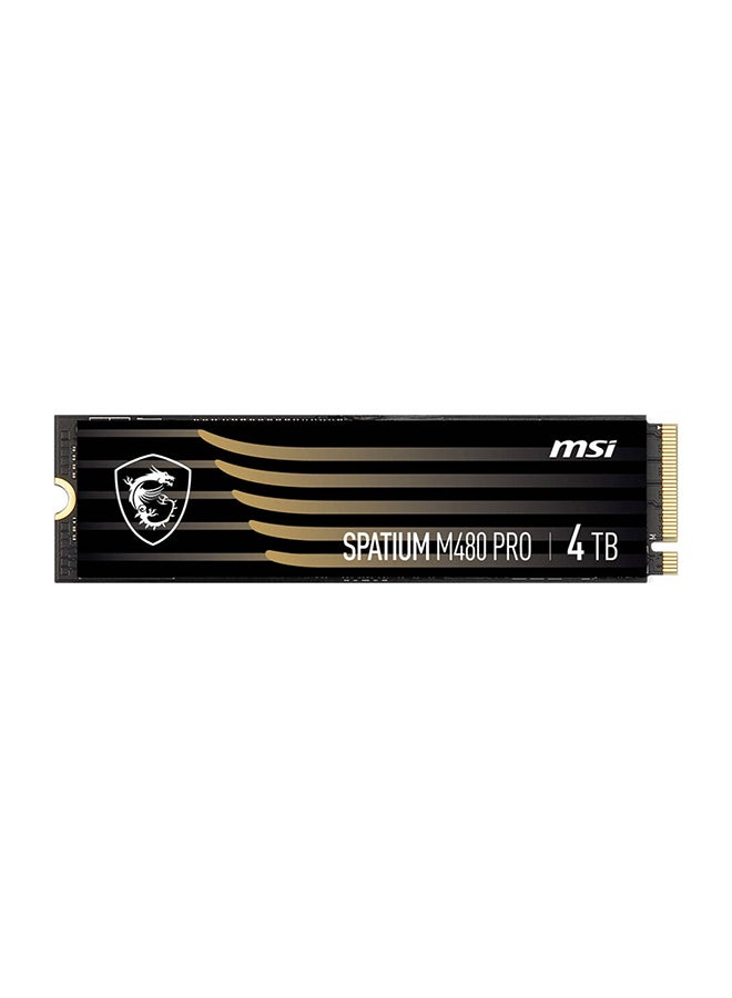 Spatium M480 Pro PCIe Gen4x4 M.2 2280 Internal SSD, 4TB Capacity, Up To 7400MB/s Sequential Read & 7000MB/s Sequential Write Speed, 3000 TBW, 3D NAND | S78-440R050-P83 4 TB