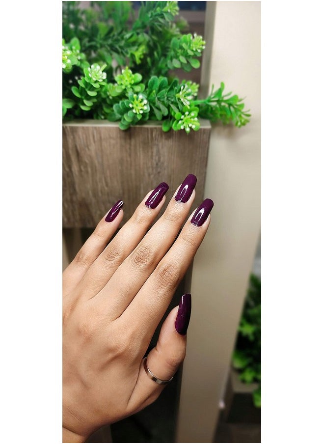 Pastel And Bright Shine, (Pack Of 12), Long Lasting