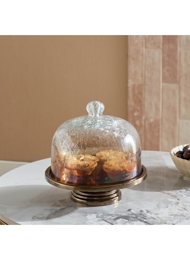 Jebha Cake Stand with Glass Dome 20x20x20 cm