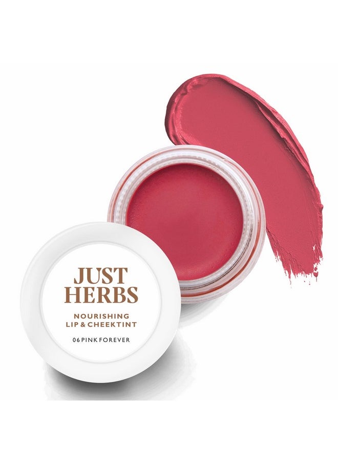 Lip And Cheek Tint -06 Pink Forever