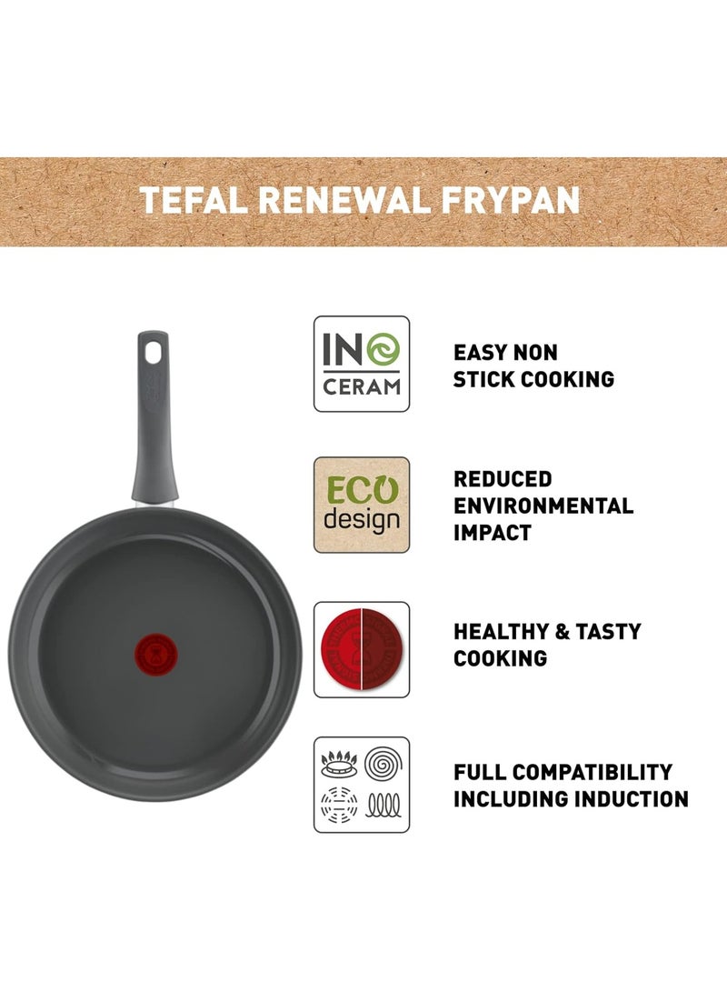 Renewal Non Stick Ceramic Coating Fry Pan Grey 30cm