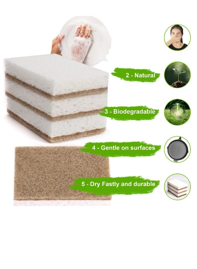 Natural Kitchen Sponge, 12 Count Multipurpose Kitchen Sponge Biodegradable Compostable Cellulose For All Surfaces Dishwashing Nonstick Cookware Countertops