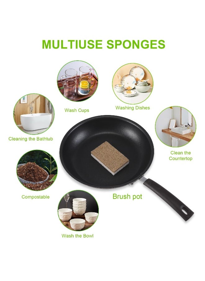 Natural Kitchen Sponge, 12 Count Multipurpose Kitchen Sponge Biodegradable Compostable Cellulose For All Surfaces Dishwashing Nonstick Cookware Countertops