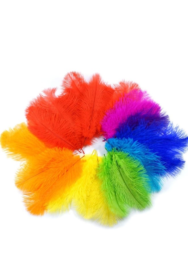 16 pcs Color Ostrich Feathers 10-12 inch(25-30 cm) Bulk for Wedding Party Centerpieces, Flower Arrangement and Home, Gatsby Decorations