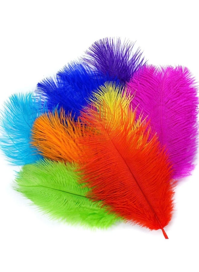 16 pcs Color Ostrich Feathers 10-12 inch(25-30 cm) Bulk for Wedding Party Centerpieces, Flower Arrangement and Home, Gatsby Decorations