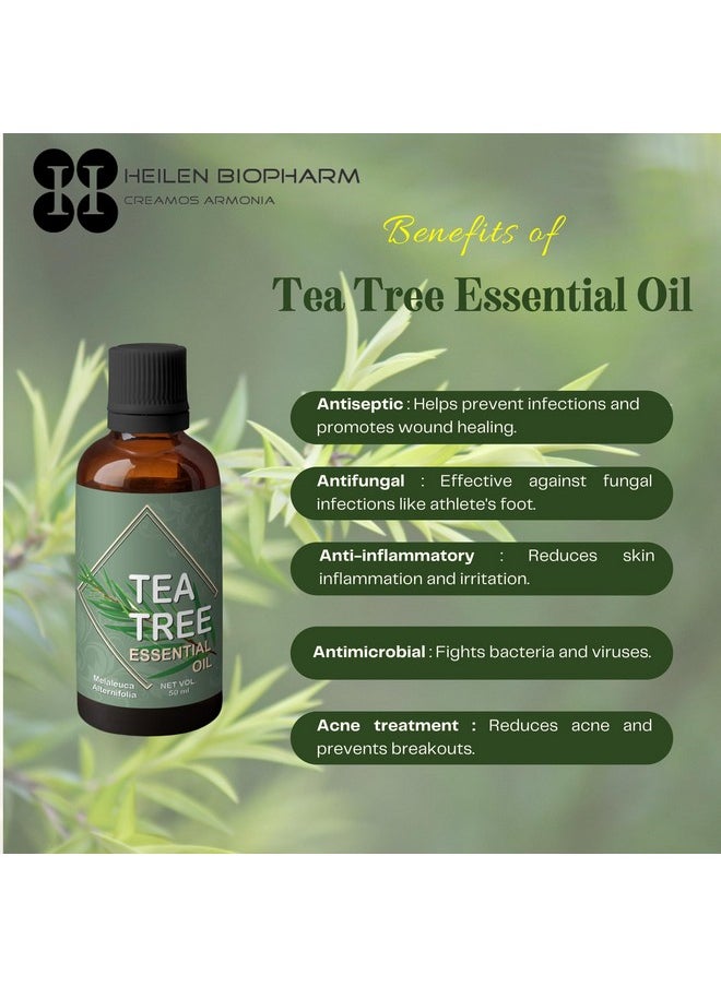 Tea Tree Essential Oil - 50 Ml Bottle I Pack Of 1,For Healthy Skin And Hair (Melaleuca Alternifolia)