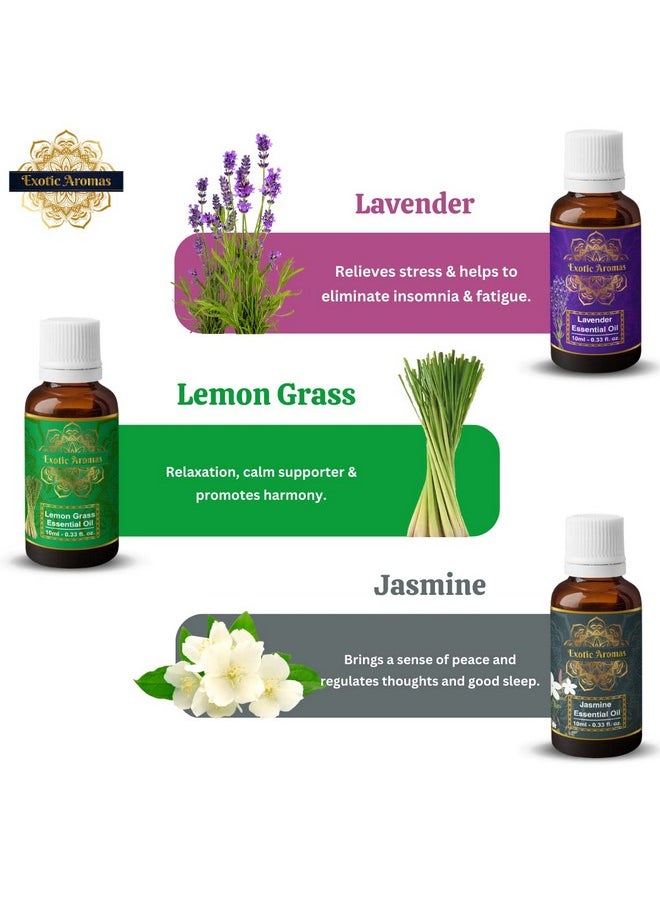 Essential Oil Lavender, Rose, Tea Tree, Jasmine, Ylang Ylang, Orange, Lemongrass, Peppermint, Rosemary, Pure & Natural (Pack Of 9)