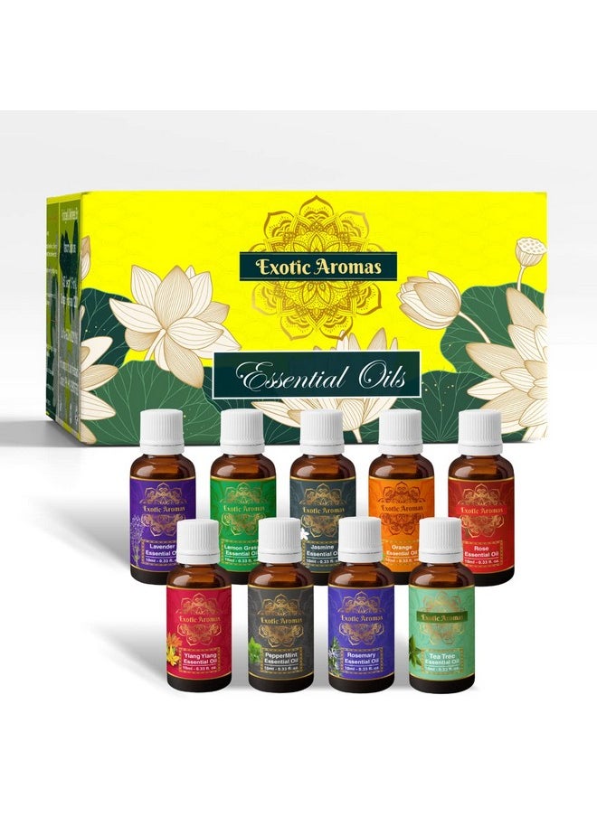 Essential Oil Lavender, Rose, Tea Tree, Jasmine, Ylang Ylang, Orange, Lemongrass, Peppermint, Rosemary, Pure & Natural (Pack Of 9)