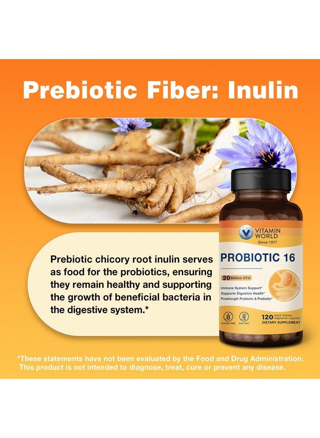 Vitamin World Probiotic 16, 20 Billion CFU, 16 Strains with Prebiotic Fiber for Digestive & Immune Health, Probiotics for Women & Men, Non-GMO, Gluten Free, 120 Veggie Capsules, 60 Day Supply