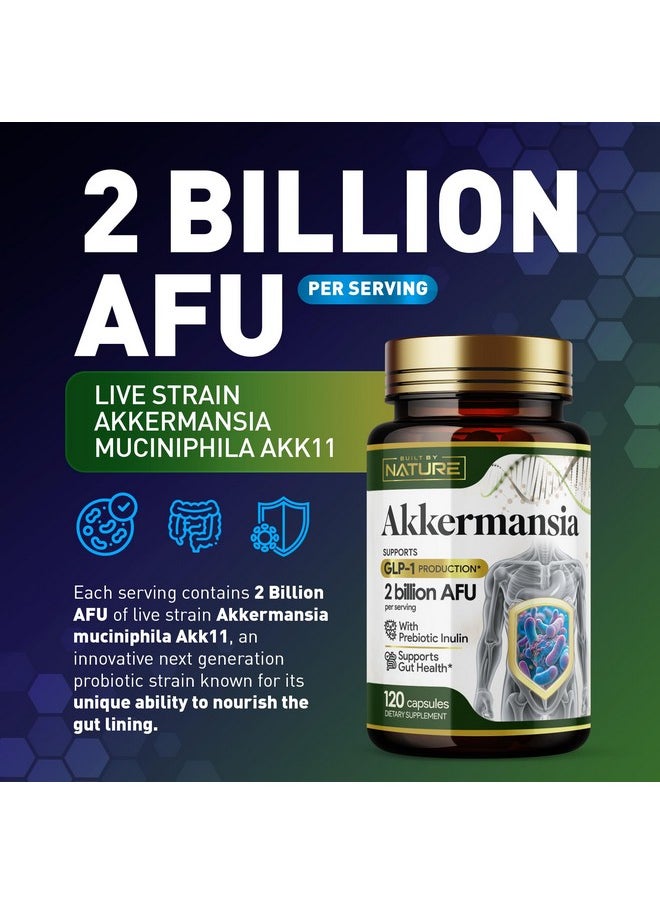 Built by Nature Akkermansia Muciniphila Probiotic Supplement - 2 Billion AFU - Supports GLP-1, Immune & Digestive Gut Health - 120 Delayed Release Capsules