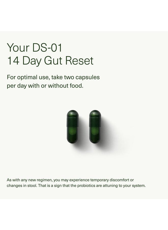 Seed 14 Day Gut Reset - Prebiotic and Probiotic for Women & Men - Digestive Health, Gut Health, Rapid Gut Recovery, Bloating & Constipation Relief - Vegan & Shelf-Stable - 28 Capsules (14-Day Supply)