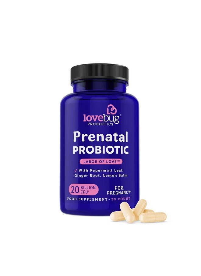 Lovebug Prenatal Probiotic | Helps with Morning Sickness, Nausea, Heartburn & Digestion | Helps Baby Microbiome | Multi Strain 20 Billion CFU | 30 Capsules