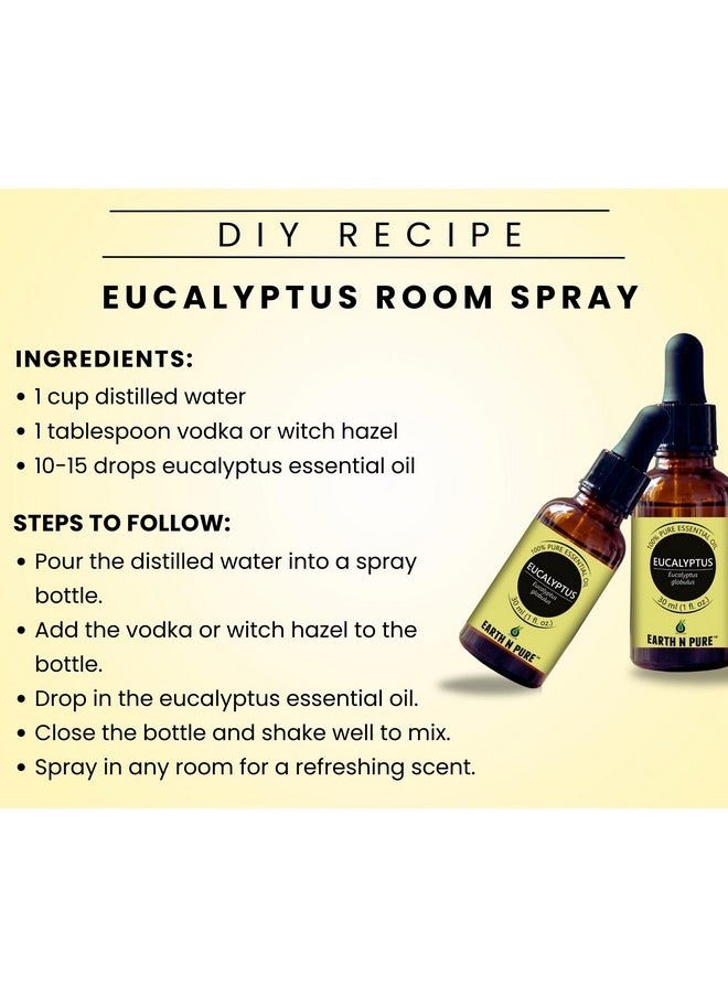 Eucalyptus Essential Oil (Nilgiri Oil) Undiluted, Natural, Therapeutic Grade With Glass Dropper 50 Ml