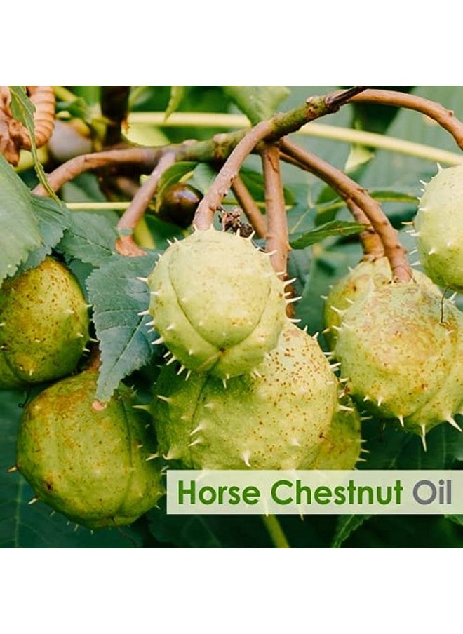 Horse Chestnut Oil |Pure And Natural Horse Chestnut Oil | Firm Skin, Skin Hydration, Skin Toning, Cosmetic Grade| Skincare, Hair Care, And Diy Purpose (50Ml)