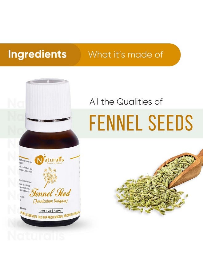 Essence Of Nature Fennel Seed Essential Oil, Natural & Therapeutic Grade For Skin Care, Anti Aging, Hair Growth - 10Ml