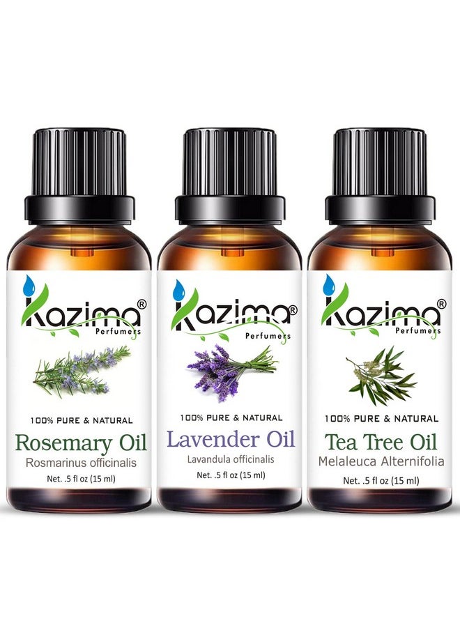 Essential Oils - Rosemary Oil, Lavender Oil & Tea Tree Oil (Combo Pack Of 3) 15 Ml Each
