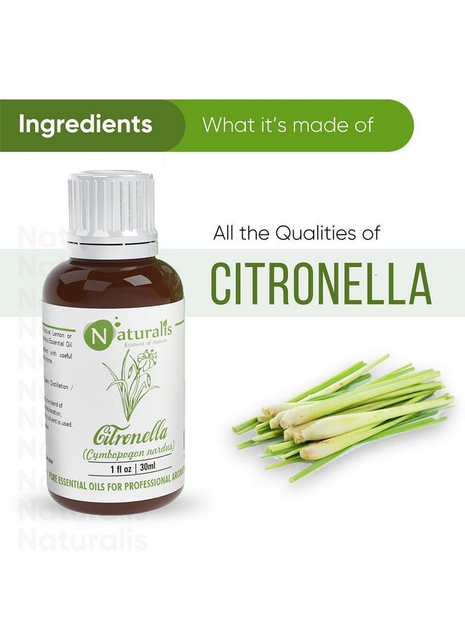 Essence Of Nature Citronella Essential Oil - 30Ml Pack Of 2