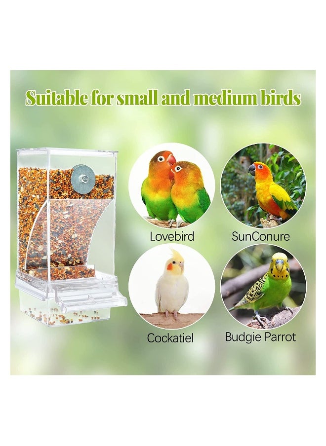 Parrot Automatic Feeder, No Mess Bird Feeder for Cage Parakeet Seed Food Container Acrylic Lovebirds Cage Accessories for Small Conures Budgies Canary Finches