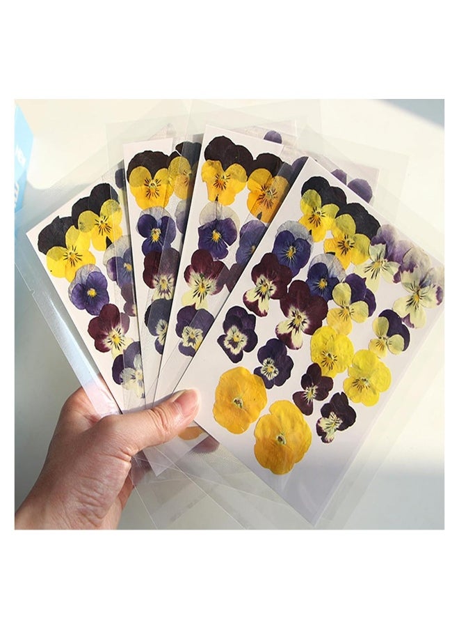 54 Pcs Dried Pressed Flowers for Resin DIY Art Crafts Natural Dry Floral Epoxy Jewelry Real Flower Decor Cakes Phone Cases Candles Handmade Soap Purple Pansy