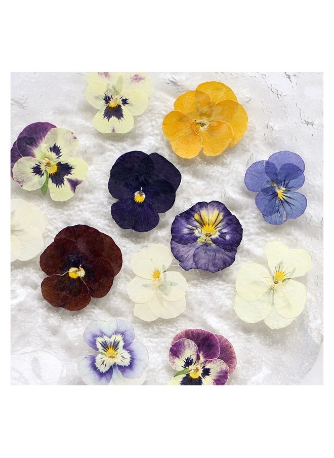 54 Pcs Dried Pressed Flowers for Resin DIY Art Crafts Natural Dry Floral Epoxy Jewelry Real Flower Decor Cakes Phone Cases Candles Handmade Soap Purple Pansy