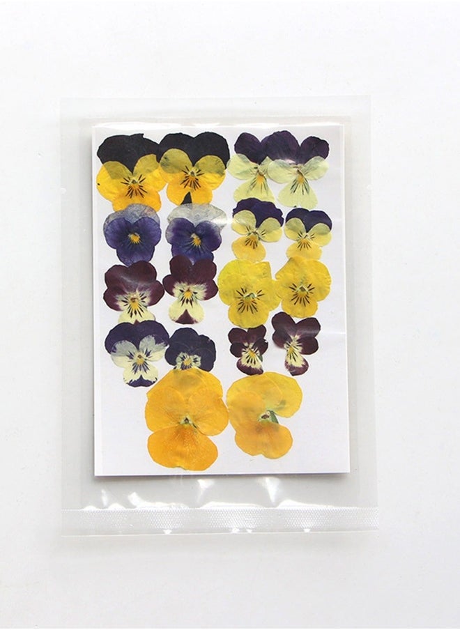 54 Pcs Dried Pressed Flowers for Resin DIY Art Crafts Natural Dry Floral Epoxy Jewelry Real Flower Decor Cakes Phone Cases Candles Handmade Soap Purple Pansy