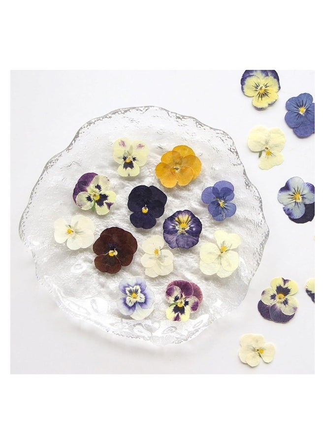 54 Pcs Dried Pressed Flowers for Resin DIY Art Crafts Natural Dry Floral Epoxy Jewelry Real Flower Decor Cakes Phone Cases Candles Handmade Soap Purple Pansy