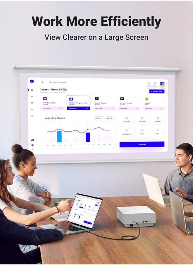 HDMI to DisplayPort Adapter 4K