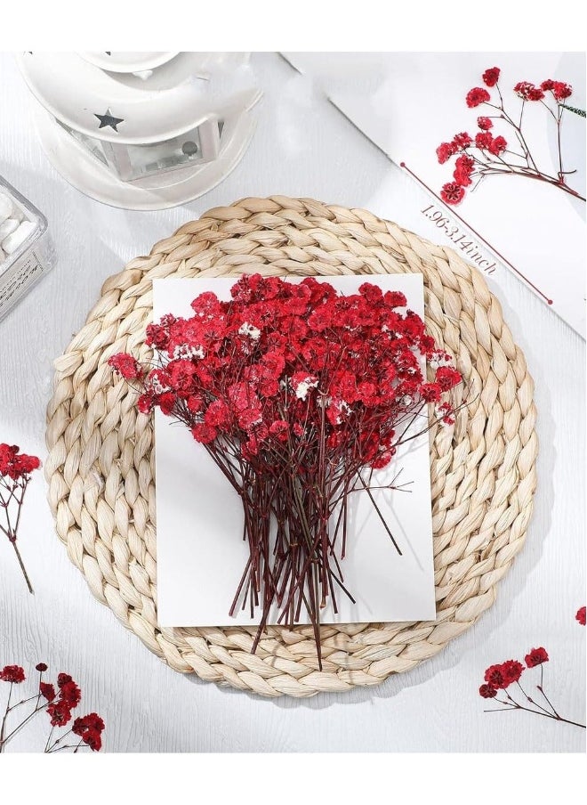 Mini Dried Baby's Breath Flowers, 60 Pcs Dried Pressed Flowers 1.97-3.15 Inch Mini Natural Branches Bouquet for Wedding DIY Card Home Party Decor Vase Table Craft Decor