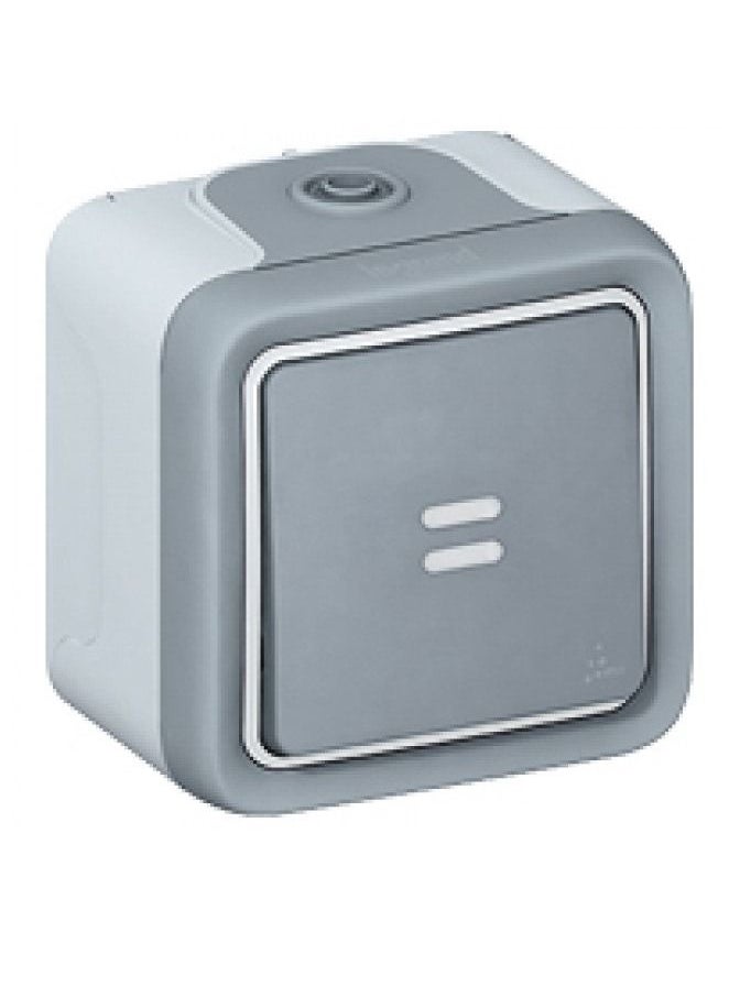 10 A Weatherproof Switch With Neon 1 Gang 2 Way Plexo IP55