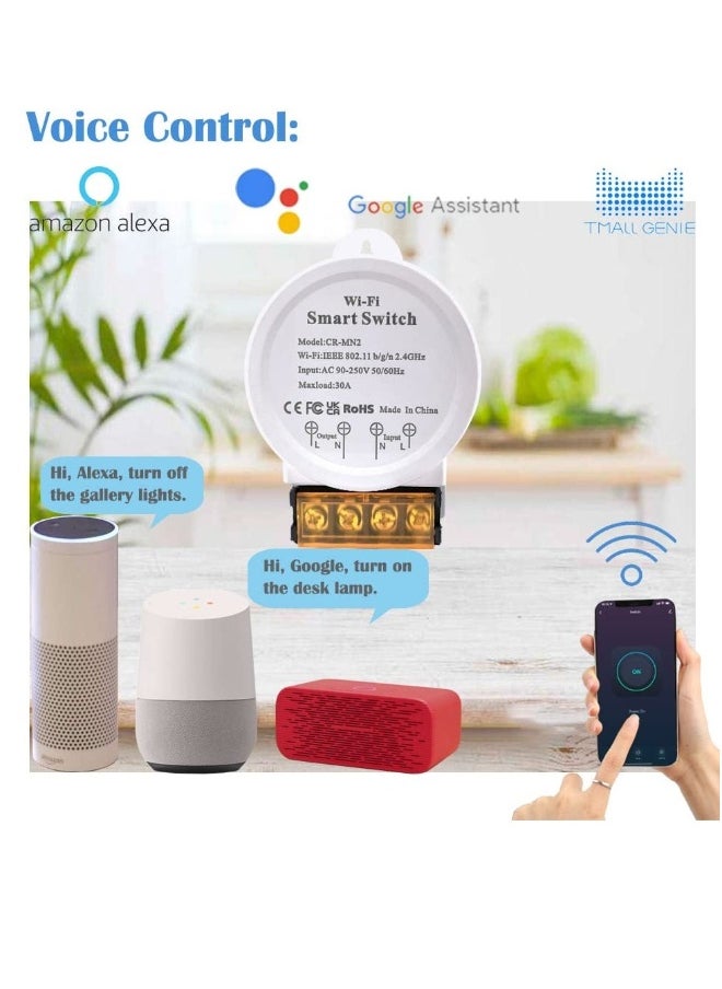 30A Smart Power WiFi Smart Switch, DIY Wireless Remote Control Module with Smart Life App，Voice Control, Compatible with Echo and Google Home,Timer Function(White)