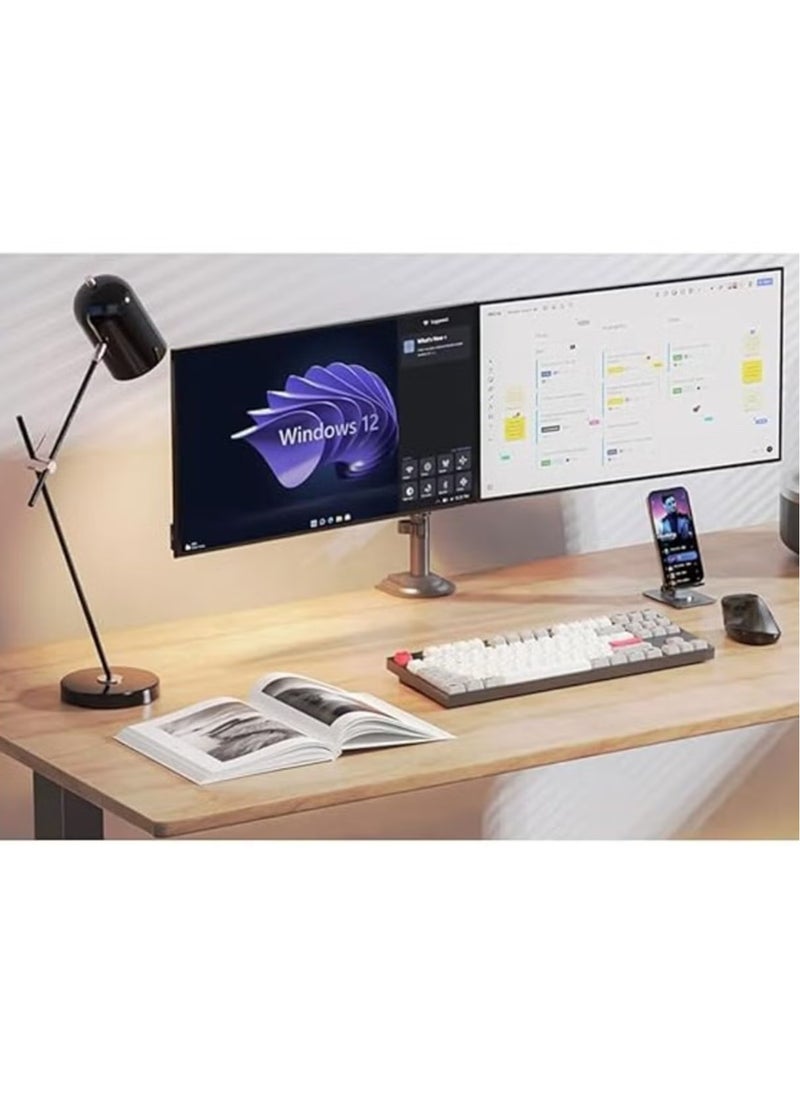 Dual Screen Desktop Mount for 22