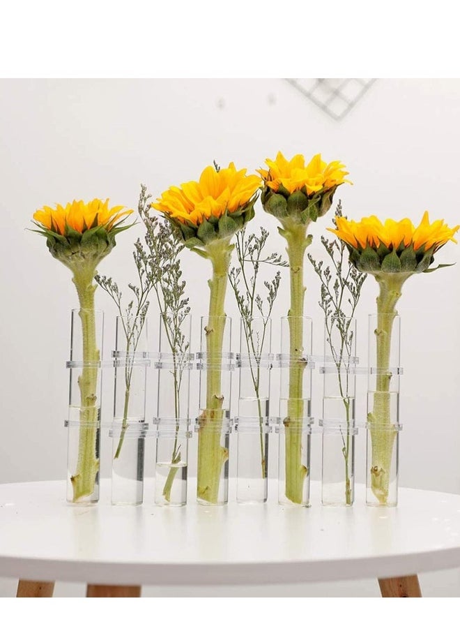 Test Tube Vase Crystal Glass Flower Pots Plant Cultivation Can be Placed in Living Rooms Desktop Terrarium DIY 8 Hydroponic Plants Home Garden Decoration with Brush 15x2.2CM