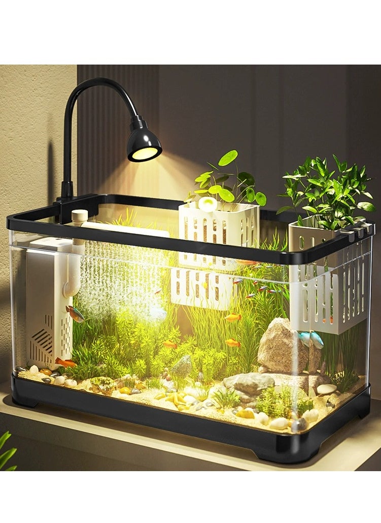Fish Tank Kit Glass Fish Bowl with Oxygen Air Pump，Filter，Light，Plants Holder，Pebbles，Scallop Shells for Home  Aquarium（38.8*21.5*21.2cm)