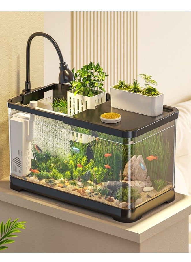 Fish Tank Kit Glass Fish Bowl with Oxygen Air Pump，Filter，Light，Plants Holder，Pebbles，Scallop Shells for Home  Aquarium（55*30*29.4cm)