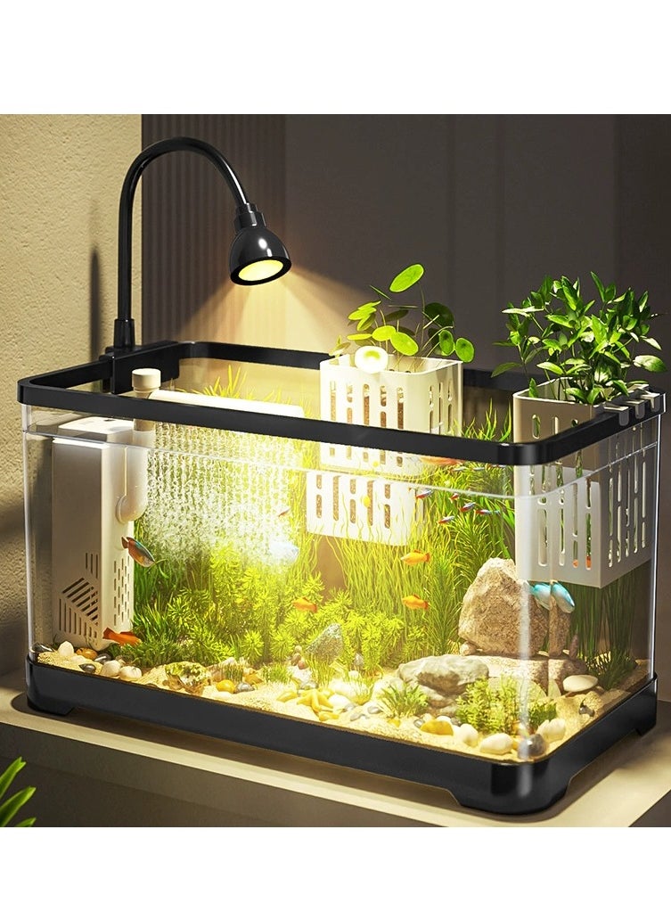 Fish Tank Kit Glass Fish Bowl with Oxygen Air Pump，Filter，Light，Plants Holder，Pebbles，Scallop Shells for Home  Aquarium（55*30*29.4cm)