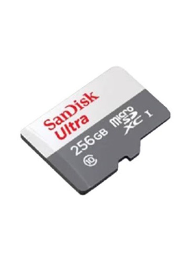 256GB Ultra Microsdxc Uhs 1 Card 100Mb/S Grey -Sdsqunr-256G-Gn3Mn, Grey