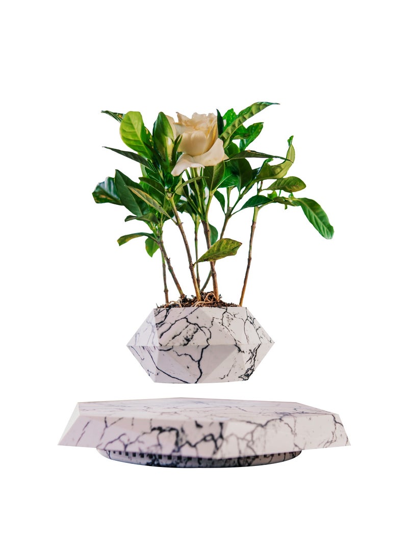 Floating Flower Pot, Imagination,Inspiration Spinning,Birthday, Hi-Tech,Art, Anniversary, Office, Home Decor Valentine's Day Gift Dubai.