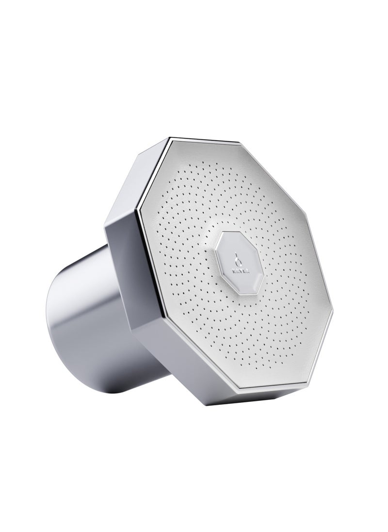 Nayra Premium Shower Head with High Pressure & Filter