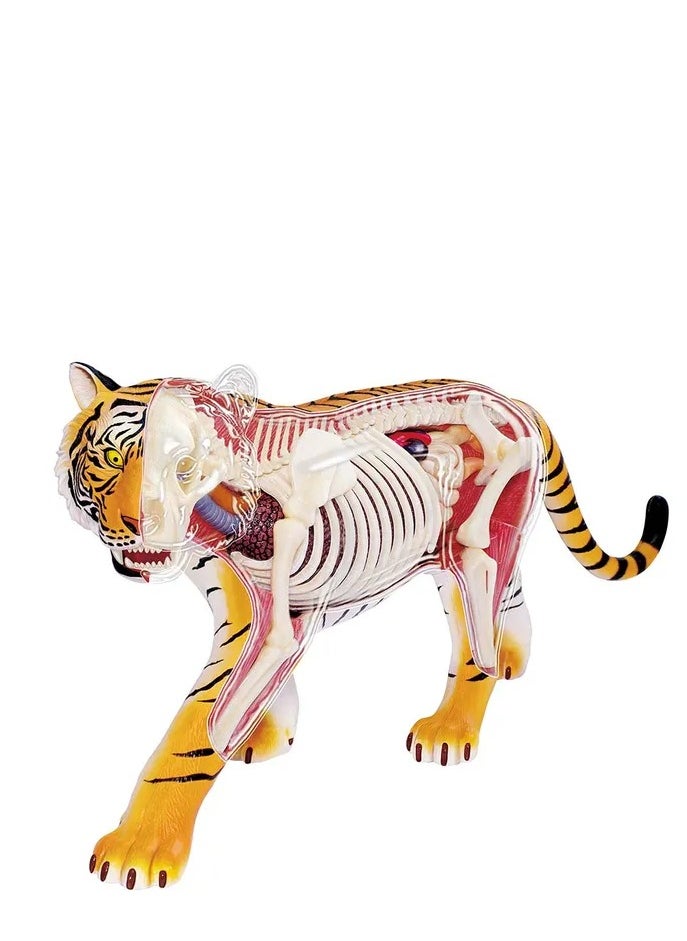 Chapmei 4D Vision Animal-Tiger