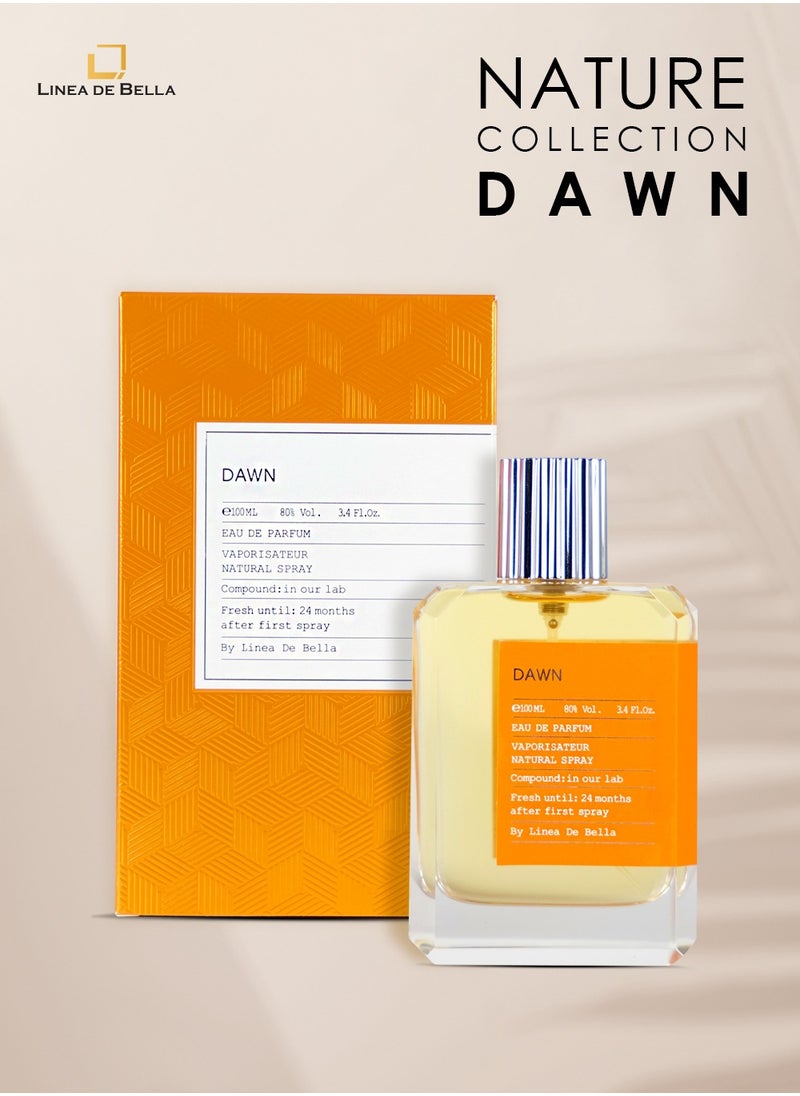 Perfume Collection Dawn 100 ml Luxury Perfume for Men | Long-Lasting Fresh & Woody Fragrance with Citrusy and Earthy Notes