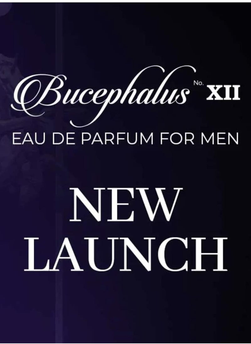 Niche Bucephalus No. XII Blue Perfume, Eau De Parfum 100ml for Him, Perfumes for Men, New Fragrance