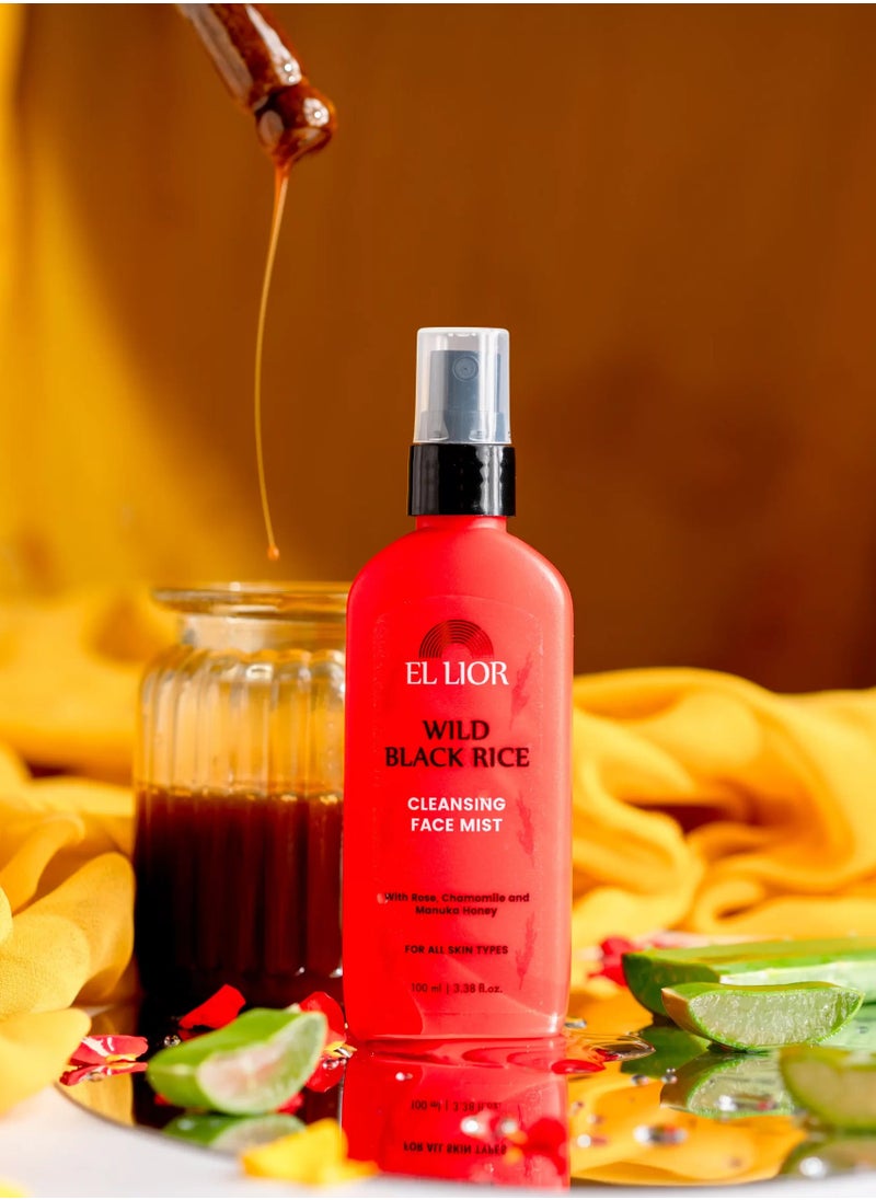 EL lior Detox Set Combo - Shampoo, Face Mist, and Charcoal Bathing Bar