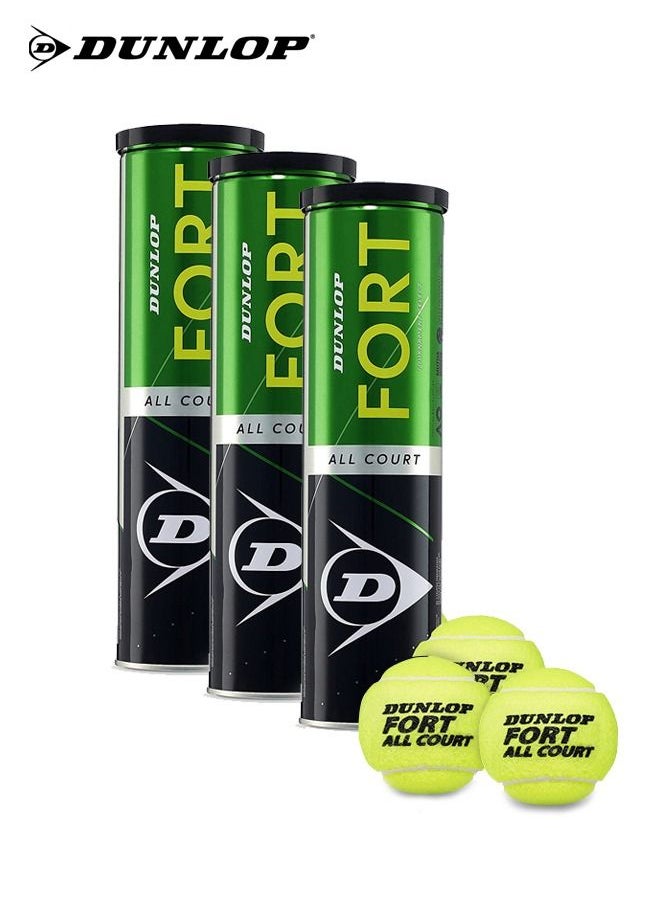 Dunlop Fort All Court  Tennis Balls (Pack of 3 )